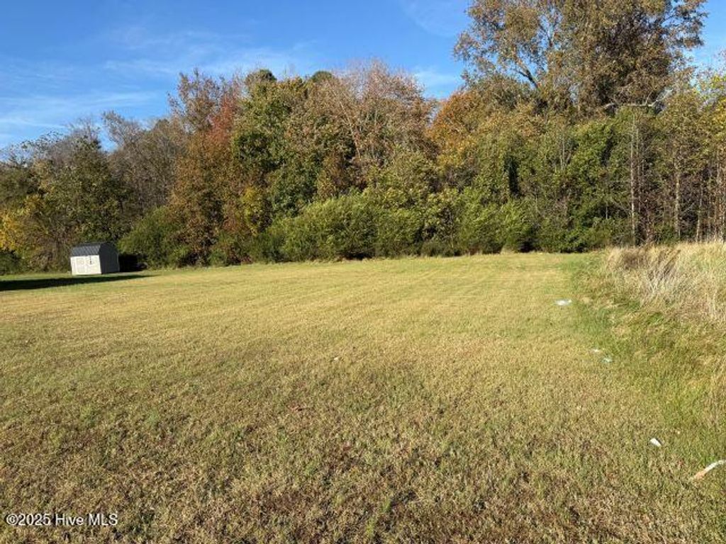 Photo of 113 Pinewood Drive, Ahoskie, NC 27910 (MLS # 100540314)