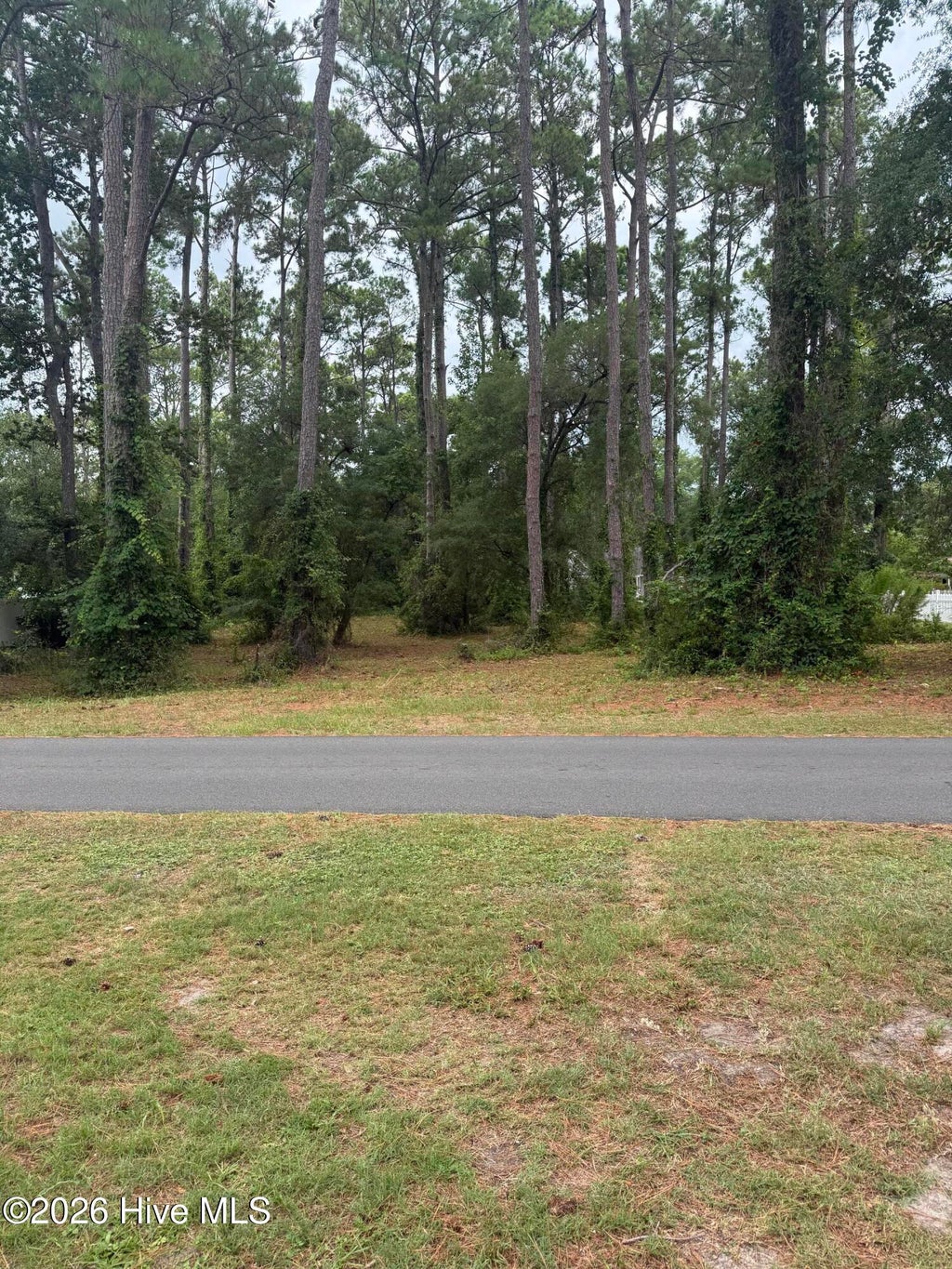 Photo of 9010 Ocean Harbour Golf Club Drive SW, Calabash, NC 28467 (MLS # 100591517)