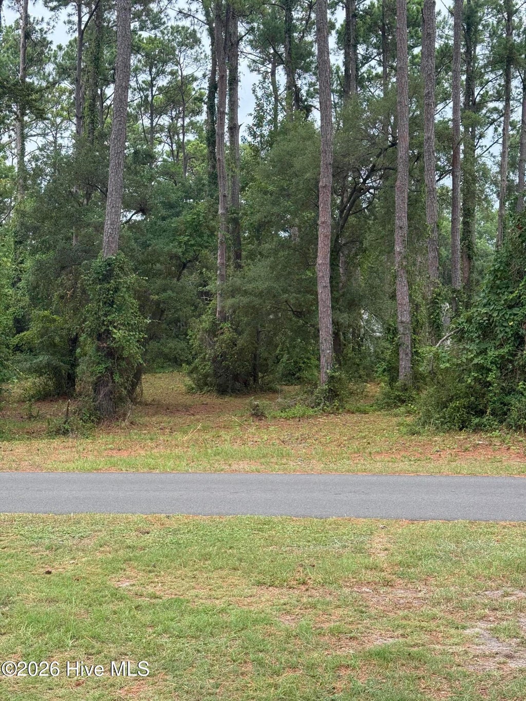 Photo of 9010 Ocean Harbour Golf Club Drive SW, Calabash, NC 28467 (MLS # 100591517)
