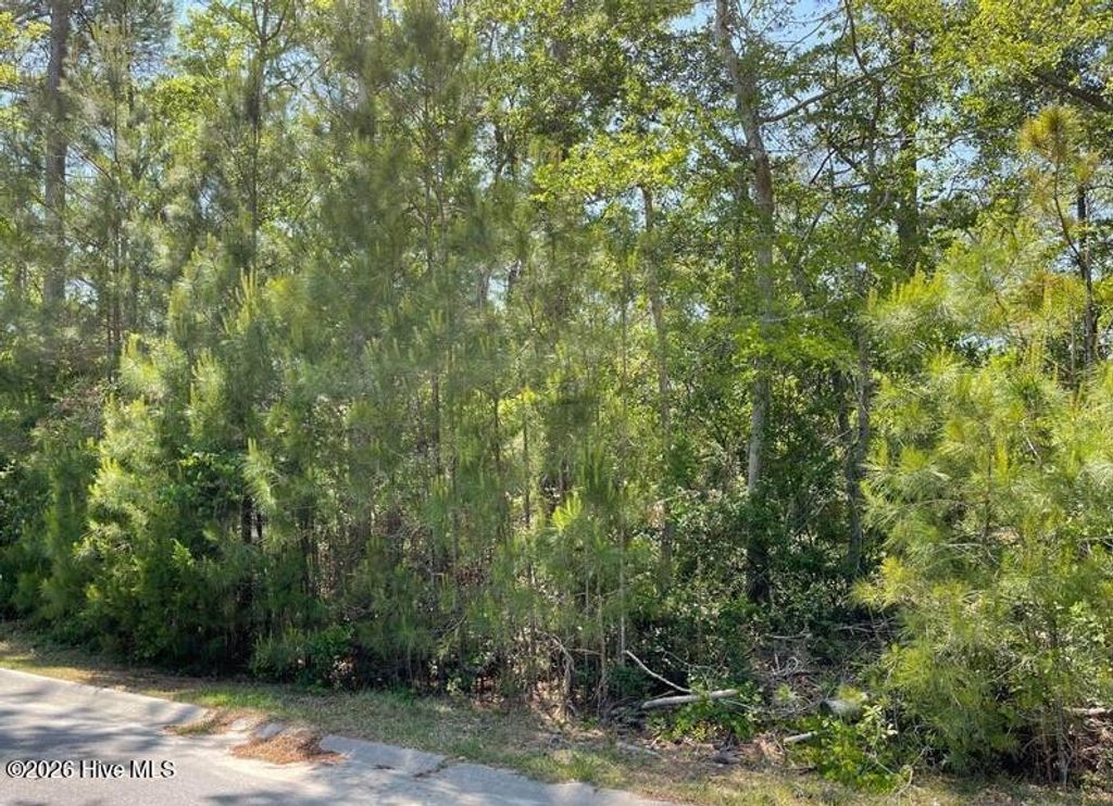 Photo of 2917 Blue Sky Drive SW, Supply, NC 28462 (MLS # 100560454)