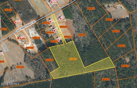 Vacant Land For Sale - 13 Sequoia Lane<br/> Lake Waccamaw, NC 28450