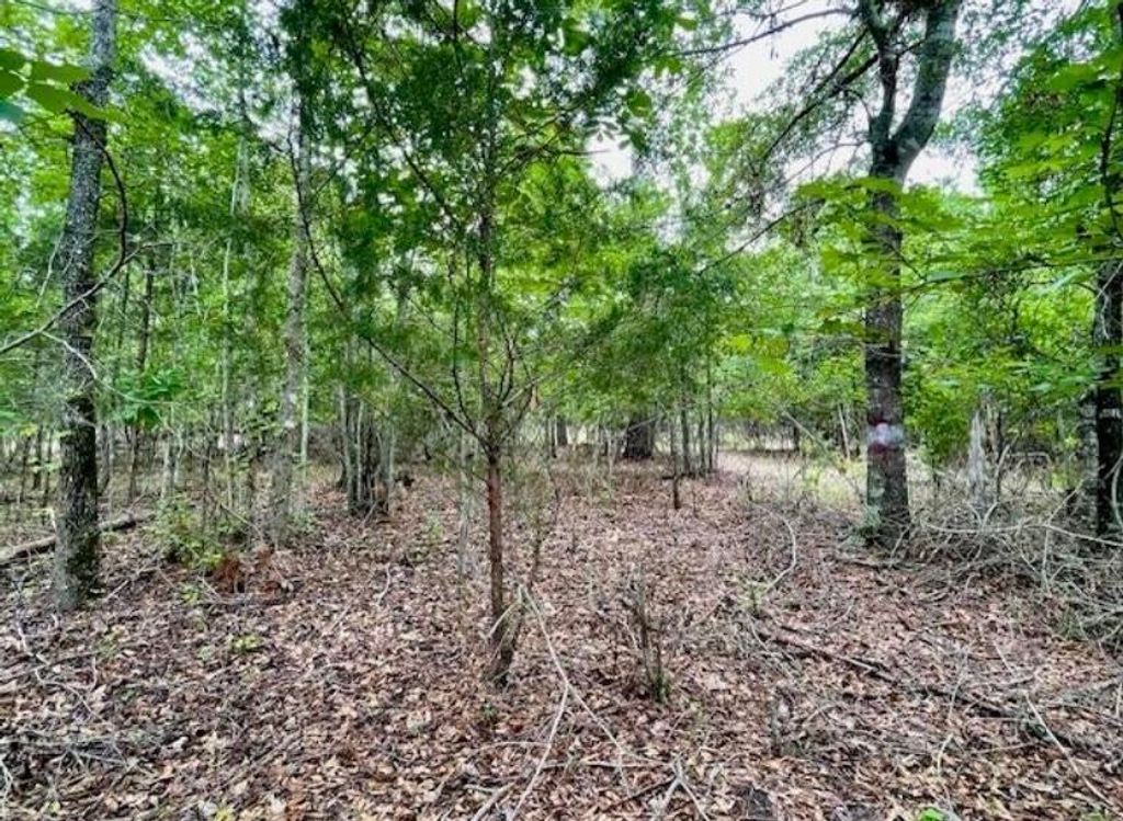 Photo of 3 Indian Road, Lincolnton, GA 30817 (MLS # 553353)