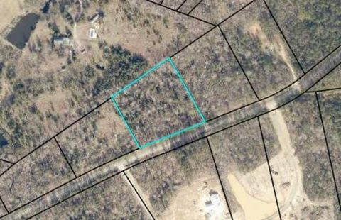 Vacant Land For Sale - 0 LOT 3 Indian Road<br/> Lincoln County, Lincolnton, GA 30817