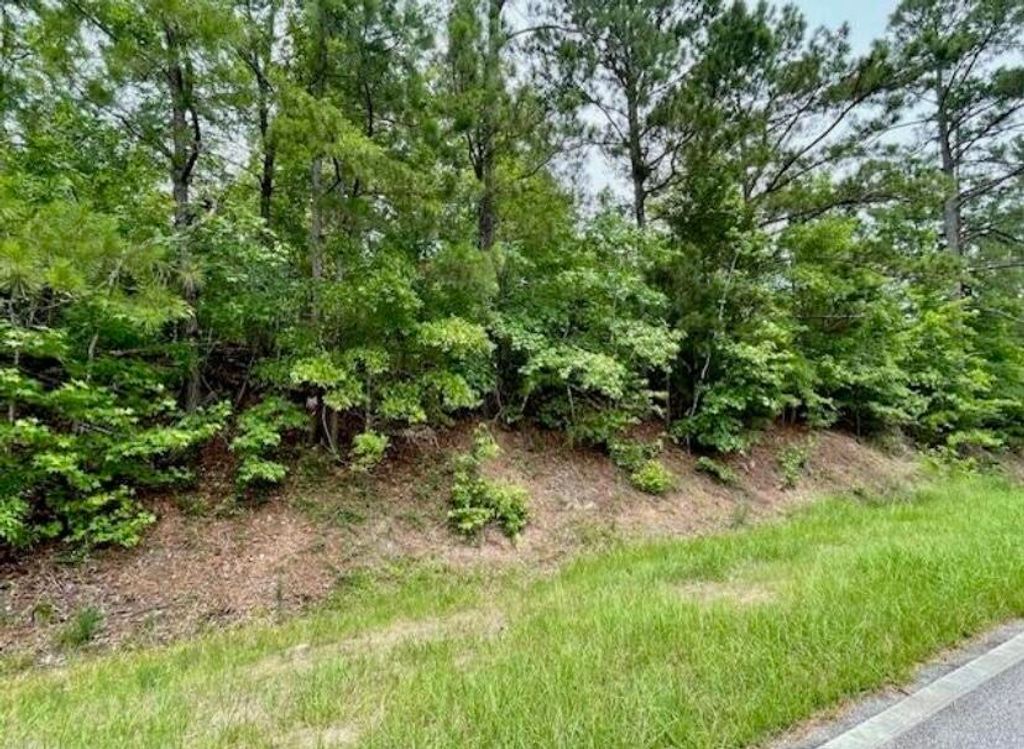 Photo of 3 Indian Road, Lincolnton, GA 30817 (MLS # 553353)