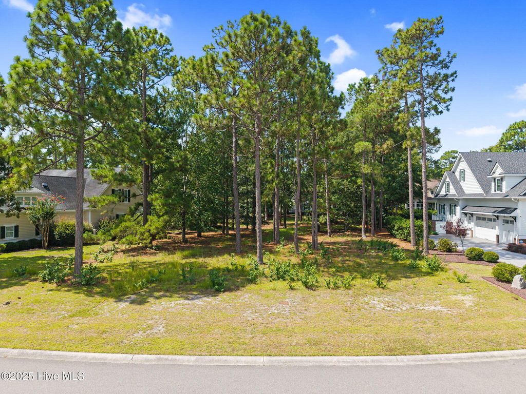 Photo of 491 Laurel Valley Drive, Shallotte, NC 28470 (MLS # 100521128)