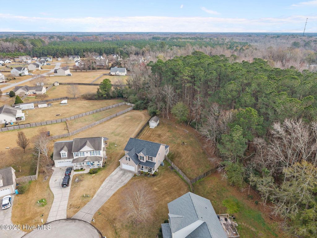 Photo of 200 Bright Leaf Lane, Jacksonville, NC 28540 (MLS # 100544220)