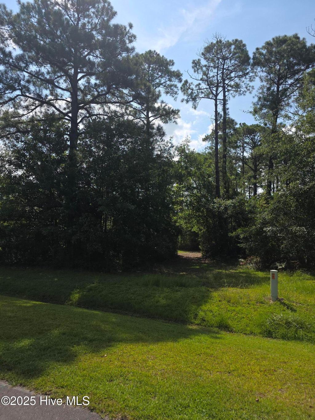 Photo of 1208 Crows Nest Court, New Bern, NC 28560 (MLS # 100522261)