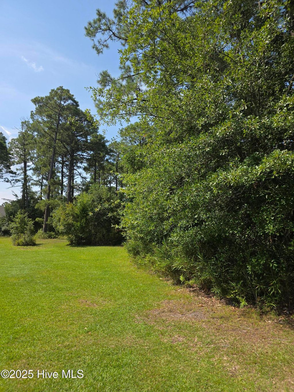 Photo of 1208 Crows Nest Court, New Bern, NC 28560 (MLS # 100522261)