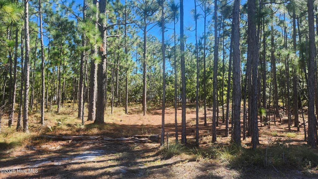 Photo of 303 Mission Road, Southport, NC 28461 (MLS # 100577933)