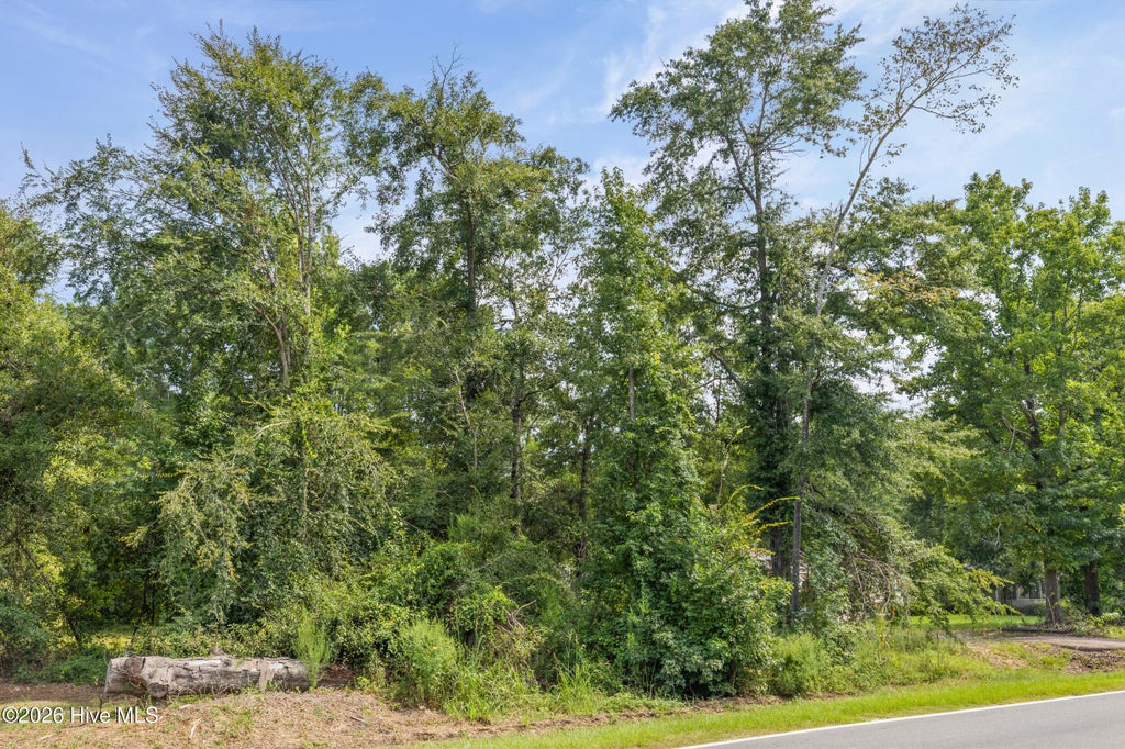 Photo of 1123 Hephzibah - Mcbean Road, Hephzibah, GA 30815 (MLS # 100601701)