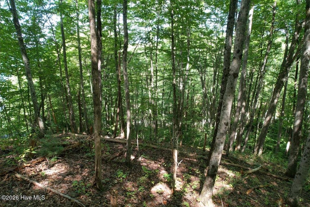 Photo of 10 Deer Park Lane, Topton, NC 28781 (MLS # 100605205)
