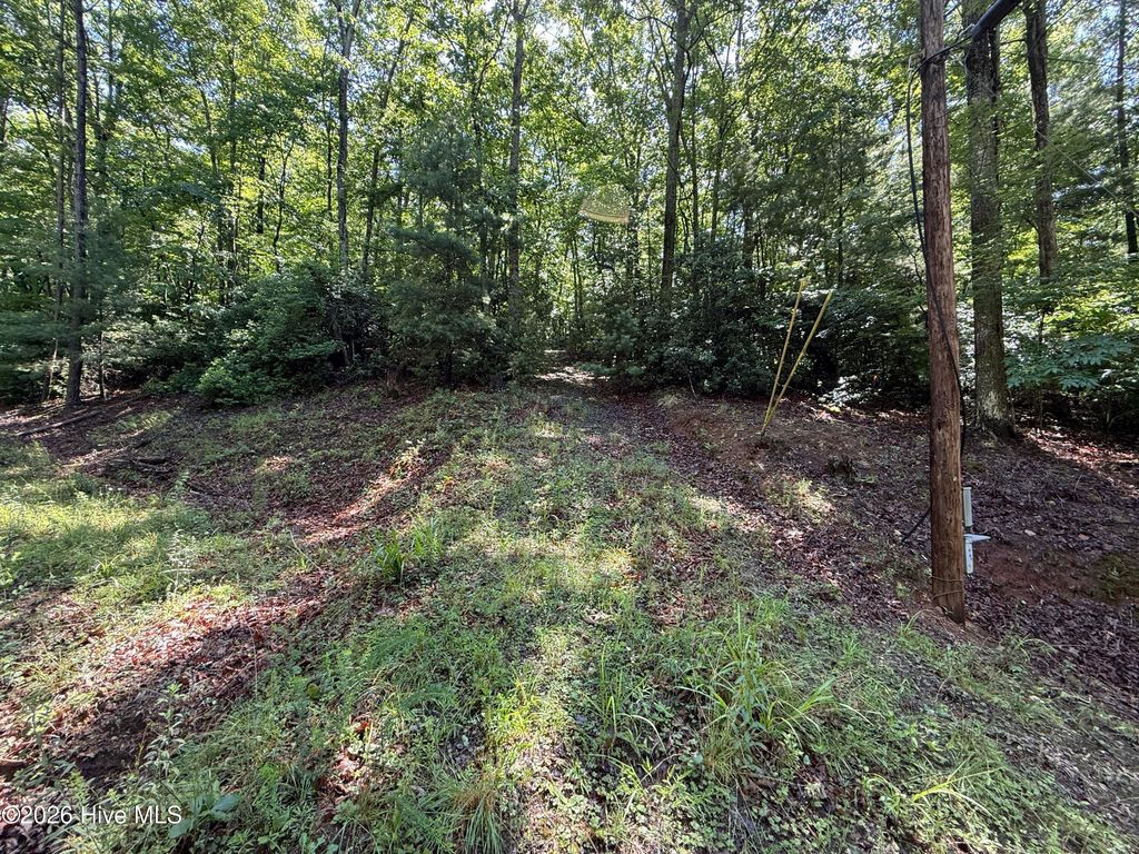 Photo of 81 Roberts Road, Murphy, NC 28906 (MLS # 100586182)