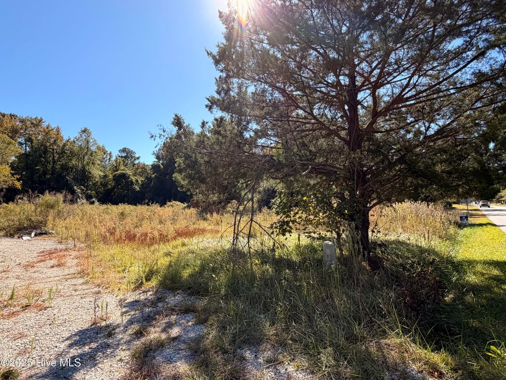 Photo of 127 Verona Road, Jacksonville, NC 28540 (MLS # 100537999)