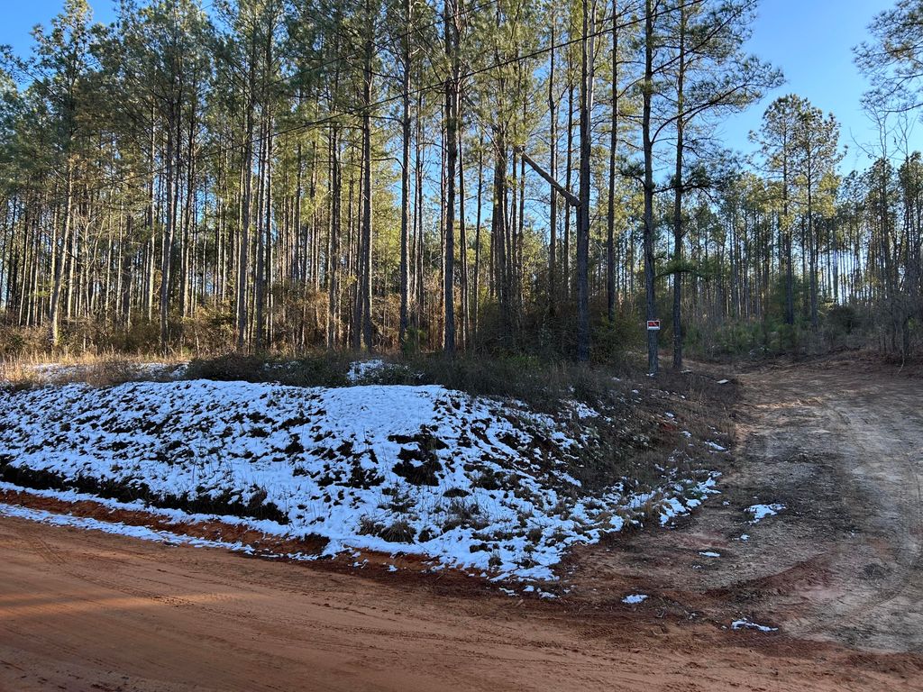 Photo of 3229 Keysville-Boggs Academy Road, Keysville, GA 30816 (MLS # 551800)