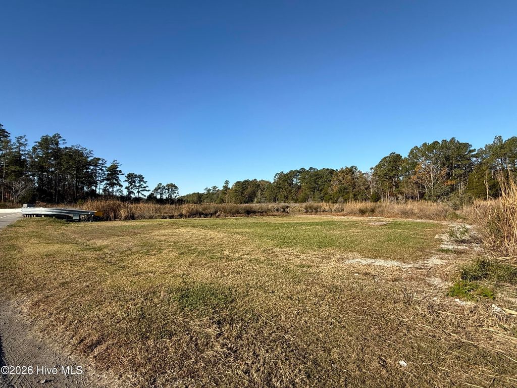 Photo of 5379 Sladesville Credle Road, Scranton, NC 27875 (MLS # 100549719)