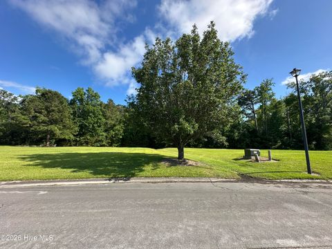 Vacant Land For Sale - 98 Carolina Way<br/> Arapahoe, NC 28510