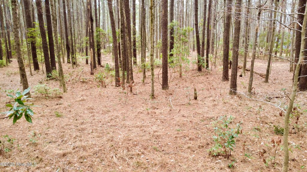 Photo of 27 Pelican Bay Road, Washington, NC 27889 (MLS # 100554926)
