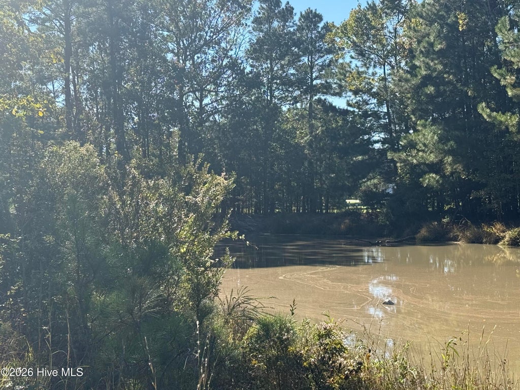 Photo of 66 Standard Bred Way, Hertford, NC 27944 (MLS # 100612423)