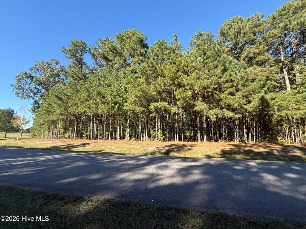 Photo of 66 Standard Bred Way, Hertford, NC 27944 (MLS # 100612423)