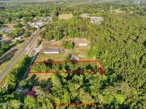 Tiny photo for 9199 Parker Trail NE, Leland, NC 28451 (MLS # 100571551)
