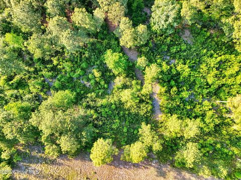 Tiny photo for 9199 Parker Trail NE, Leland, NC 28451 (MLS # 100571551)