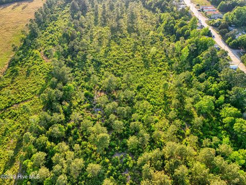 Tiny photo for 9199 Parker Trail NE, Leland, NC 28451 (MLS # 100571551)