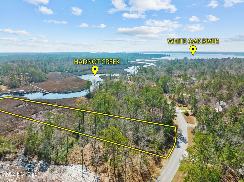 Photo of 236 White Oak Bluff Road, Stella, NC 28582 (MLS # 100372097)