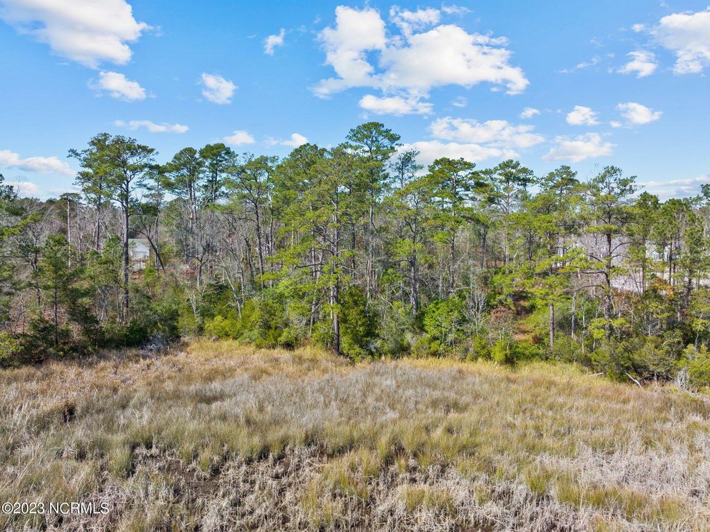 Photo of 236 White Oak Bluff Road, Stella, NC 28582 (MLS # 100372097)