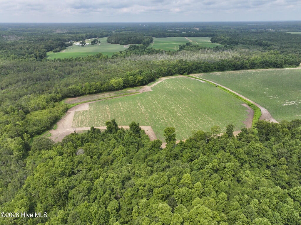 Photo of 0 Huckleberry Road, Lucama, NC 27851 (MLS # 100591651)