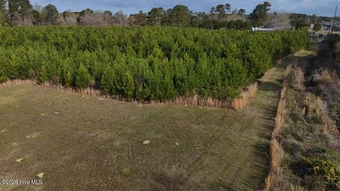 Tiny photo for 1 Smallwood Road, Hubert, NC 28539 (MLS # 100563479)