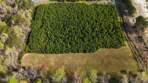 Tiny photo for 1 Smallwood Road, Hubert, NC 28539 (MLS # 100563479)