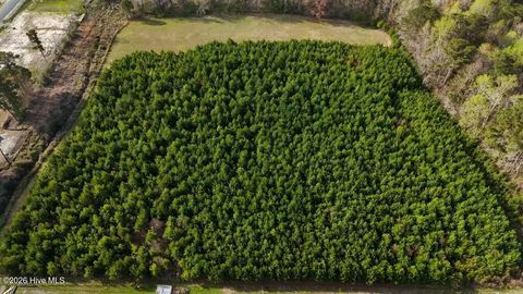 Tiny photo for 1 Smallwood Road, Hubert, NC 28539 (MLS # 100563479)