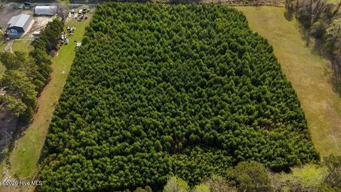 Tiny photo for 1 Smallwood Road, Hubert, NC 28539 (MLS # 100563479)