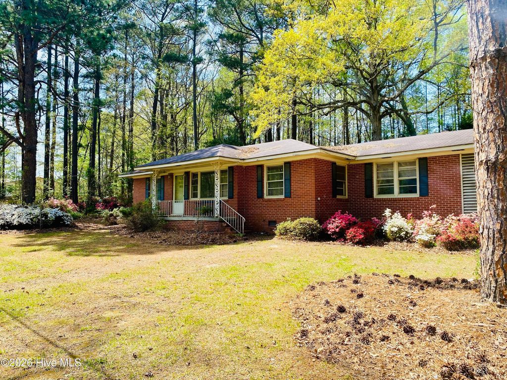 Photo of 764 Nc-231, Spring Hope, NC 27882 (MLS # 100573665)