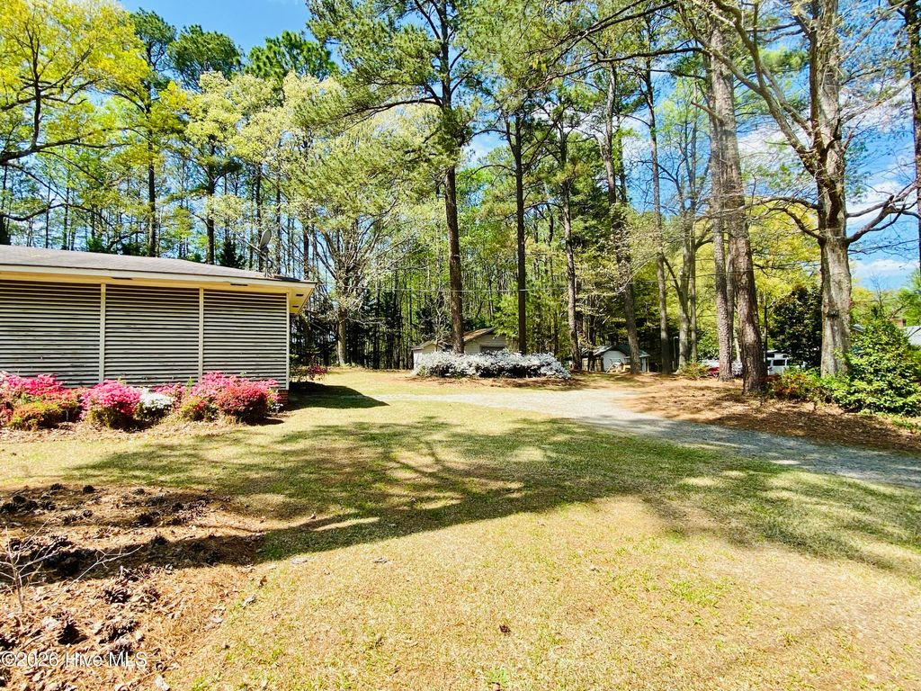 Photo of 764 Nc-231, Spring Hope, NC 27882 (MLS # 100573665)
