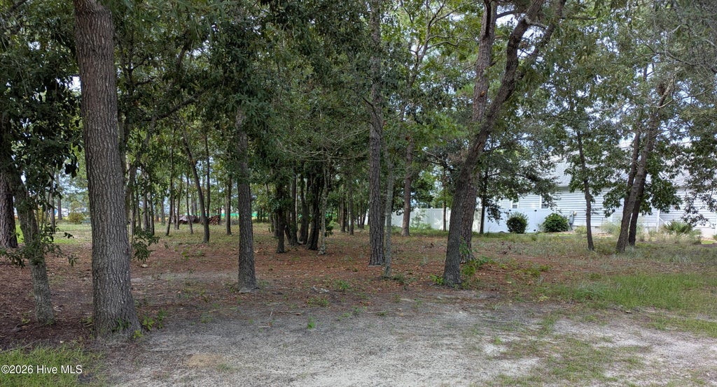 Photo of 2641 Jessica Lane SW, Supply, NC 28462 (MLS # 100599835)