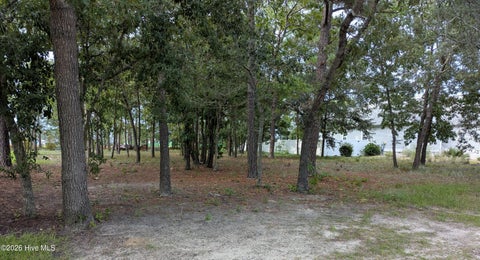Vacant Land For Sale - 2641 Jessica Lane<br/> Brunswick County, Supply, NC 28462