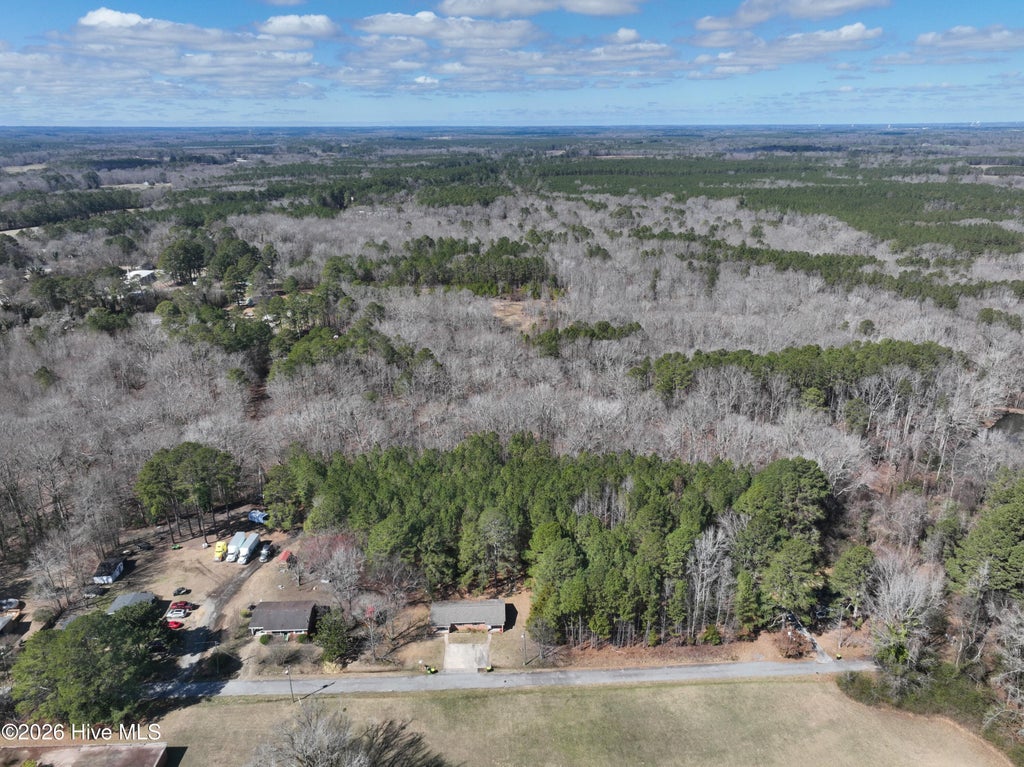 Photo of 4 Dobbs Street, Halifax, NC 27839 (MLS # 100581216)