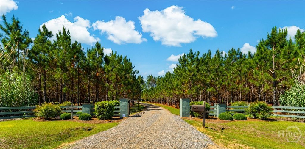 Photo of 4236 S Newton Road, Millen, GA (MLS # SA357351)