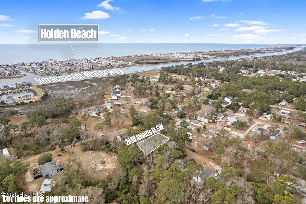 Photo of 2830 Abbotts Street SW, Supply, NC 28462 (MLS # 100493006)