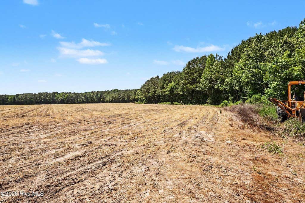 Photo of 447 Purdie Matthews Road, Wade, NC 28395 (MLS # 100578305)