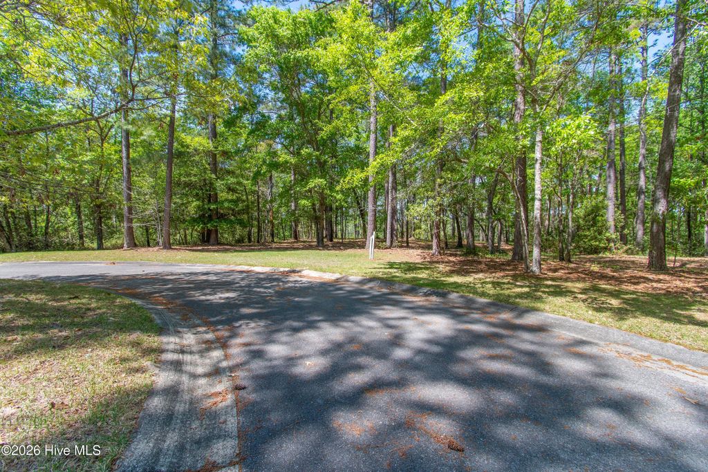 Photo of 2959 Verrazano Lane SE, Bolivia, NC 28422 (MLS # 100567227)