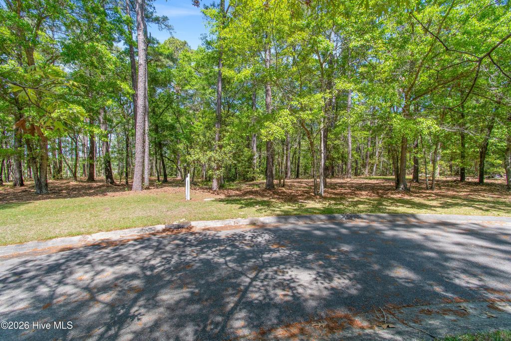 Photo of 2959 Verrazano Lane SE, Bolivia, NC 28422 (MLS # 100567227)