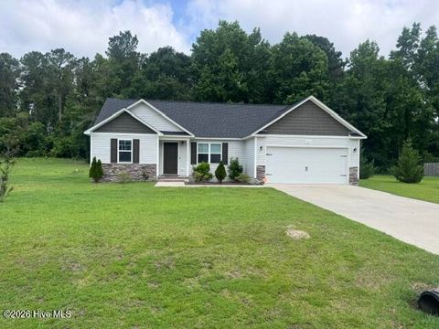Photo of 335 James Hedrick Court, Jacksonville, NC 28540 (MLS # 100577850)