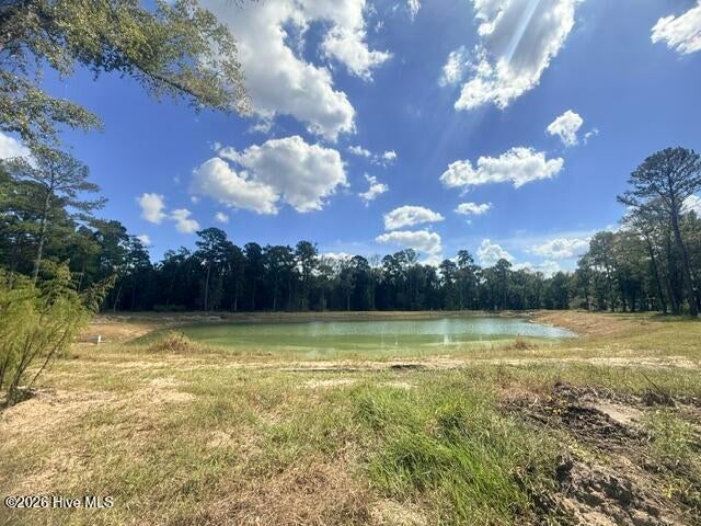 Photo of 3892 River Park Way NE, Leland, NC 28451 (MLS # 100609769)