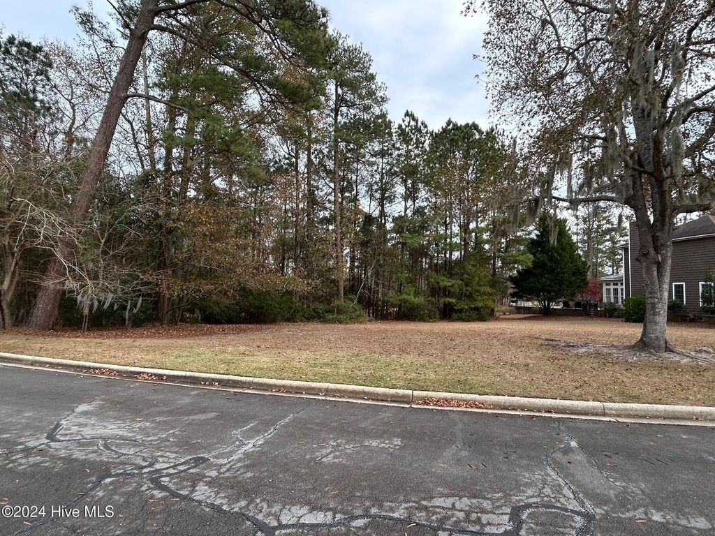 Photo of 2409 Turtle Bay Drive, New Bern, NC 28562 (MLS # 100546469)