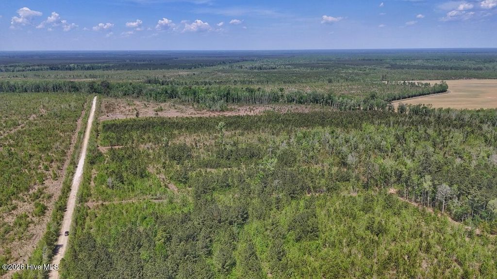 Photo of 0 Guinea Mill Road, Ernul, NC 28527 (MLS # 100568826)