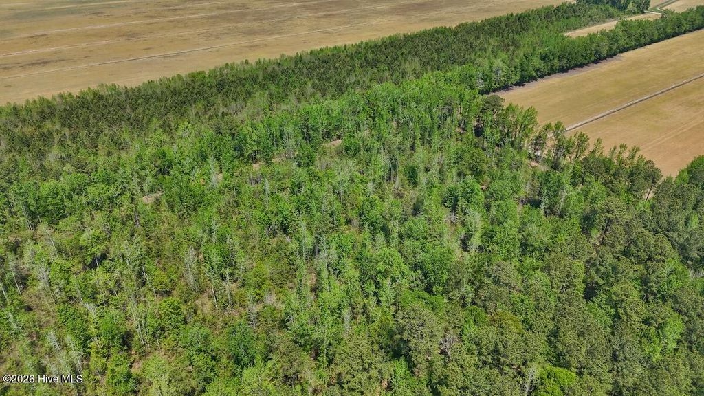 Photo of 0 Guinea Mill Road, Ernul, NC 28527 (MLS # 100568826)