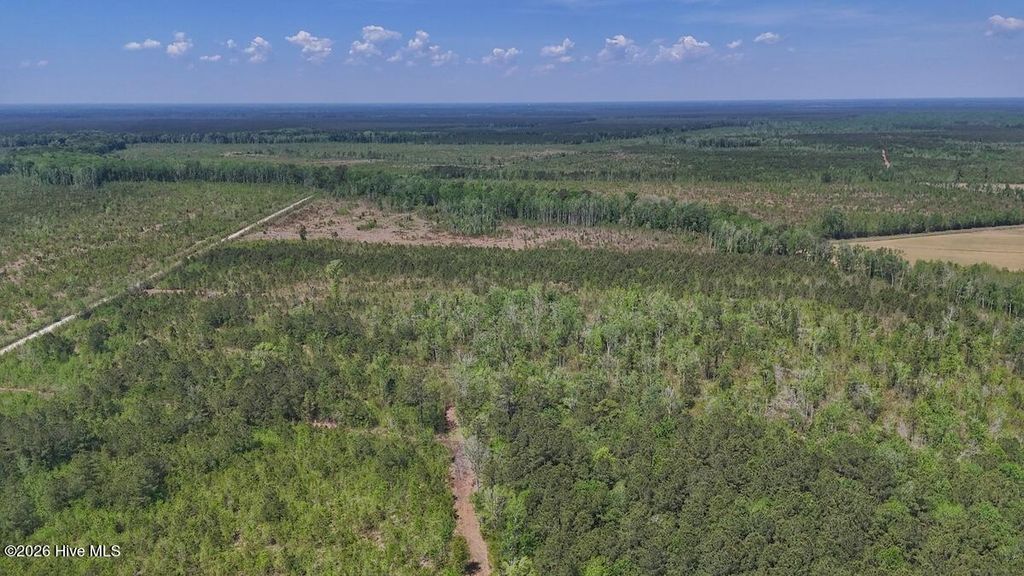 Photo of 0 Guinea Mill Road, Ernul, NC 28527 (MLS # 100568826)