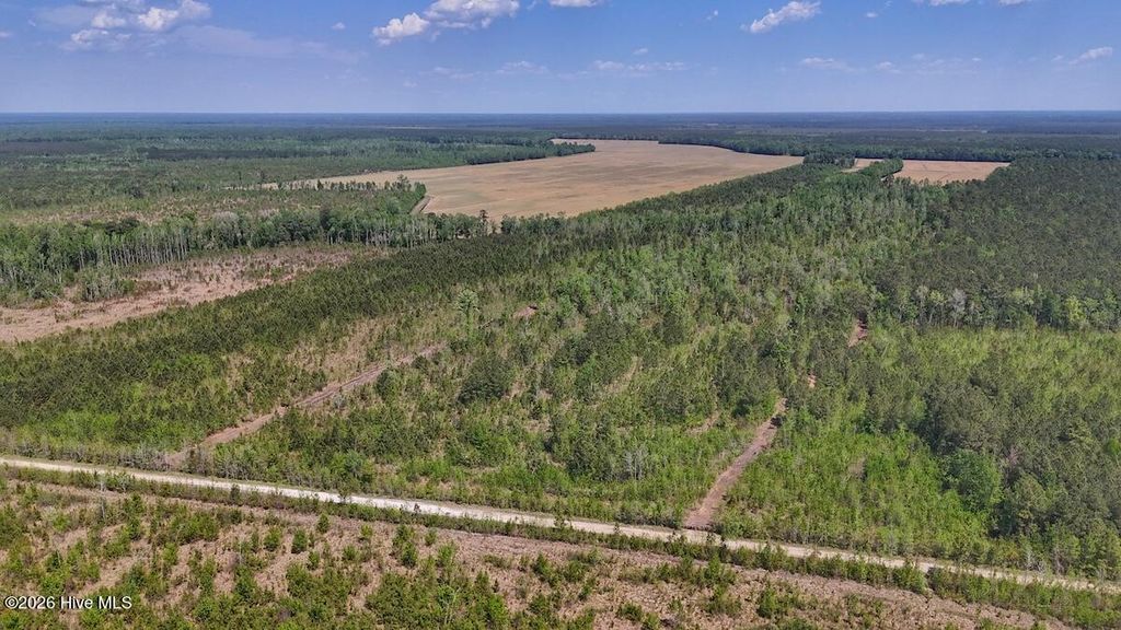 Photo of 0 Guinea Mill Road, Ernul, NC 28527 (MLS # 100568826)